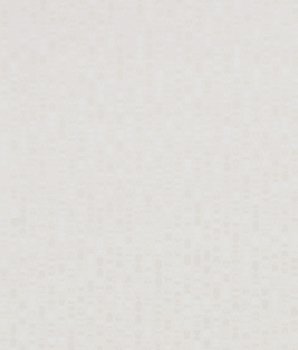 無限白--1